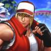 mrTerryBogard
