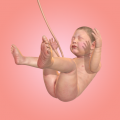 9 Months (Мод, Unlocked)