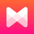 Musixmatch тексты + плеер (Мод, Unlocked)