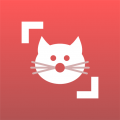 Cat Scanner (Мод, Unlocked)
