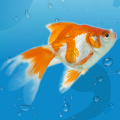 AquaLife 3D (Мод, Много денег)