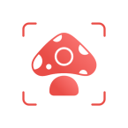 Picture Mushroom - Mushroom ID (Мод, Unlocked)