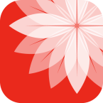 Gallery: Photo Editor, Collage (Мод, Premium Unlocked)