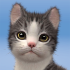 My Cat:Dream Kitty Game (Мод, Без рекламы)