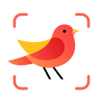Picture Bird - Распознать птиц (Мод, Unlocked)