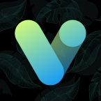 Vera Outline Black: Icon Pack