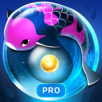 Zen Koi Pro (Полная версия)