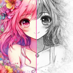 Draw Anime Sketch: AR Draw (Мод, Unlocked)