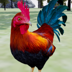 Happy Rooster Simulator (Полная версия)