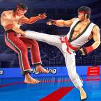 Beat Em Up Direct: игра каратэ (Мод, режим бога)