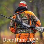 Wild Deer Hunting Adventure (Полная версия)