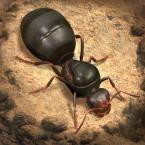 The Ants: Underground Kingdom (Мод Меню)