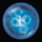 Osmos HD (Мод, Unlocked)